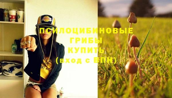 МДПВ Михайловск